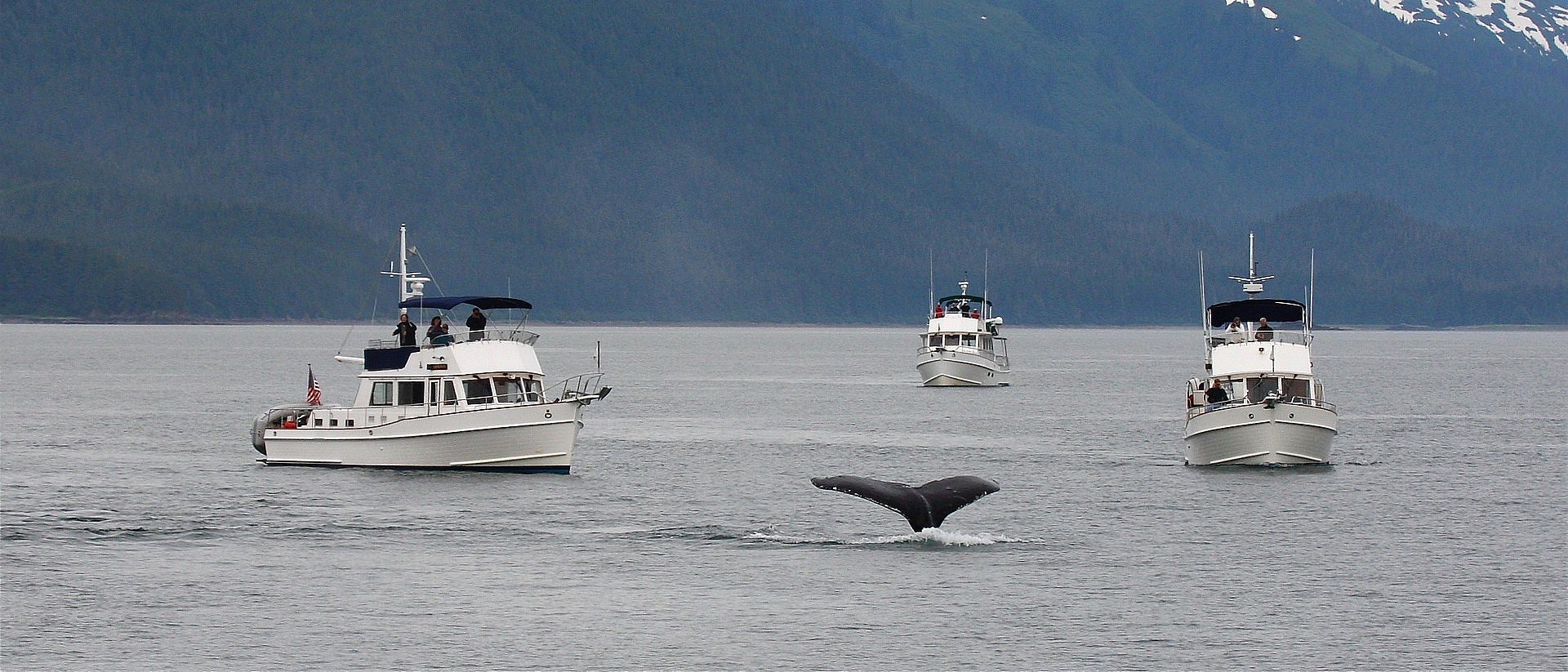 Day 4 Ella Bay and Lake to Punchbowl Cove