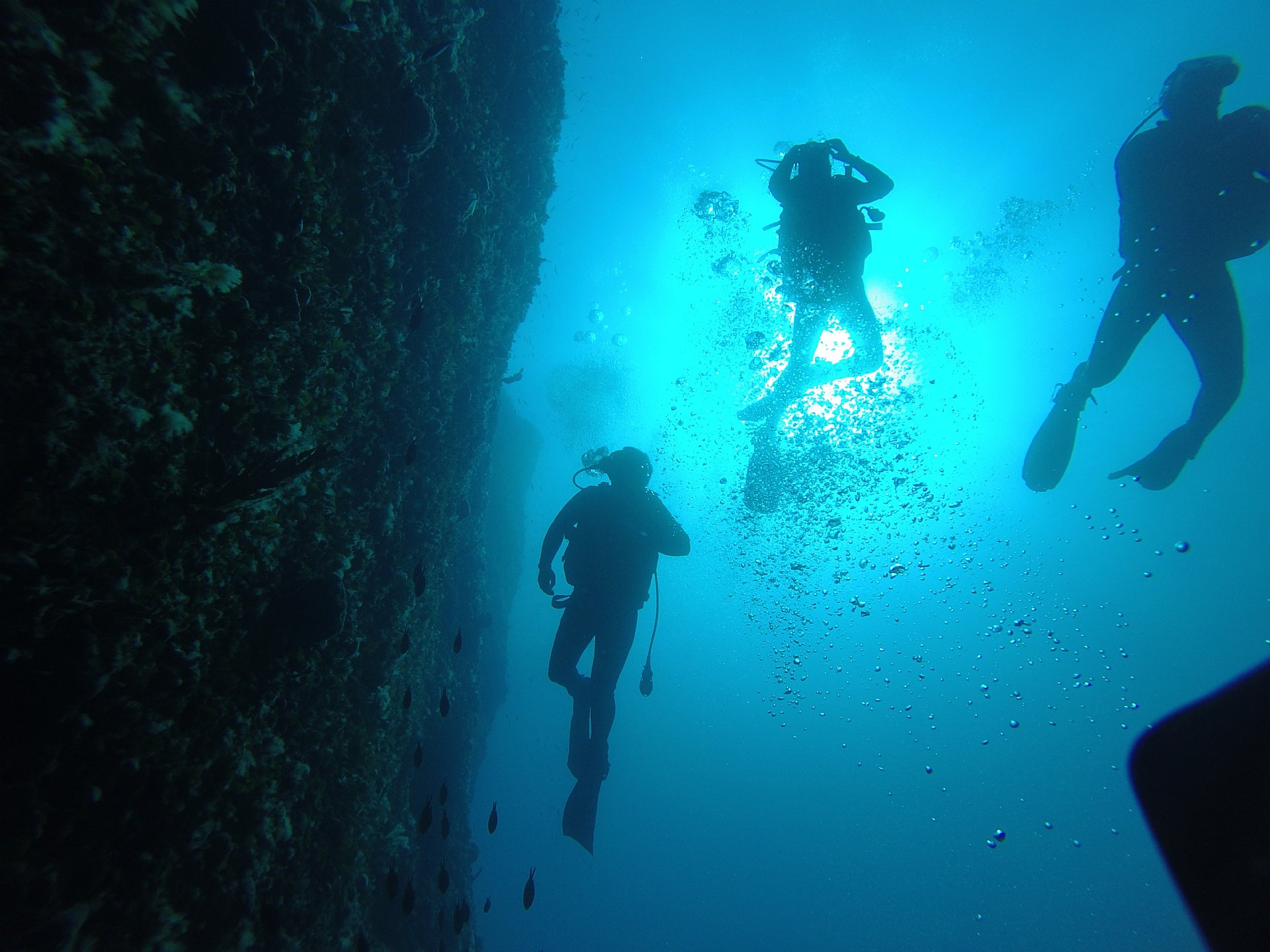 Best Excursion ideas at Croatia on 2025