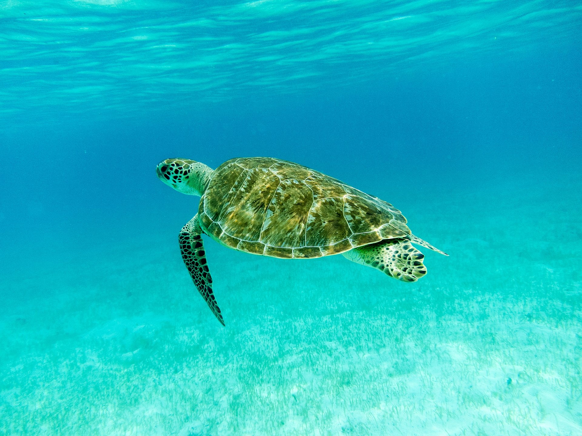 7 Reasons to Rent a Yacht In Fort Lauderdale