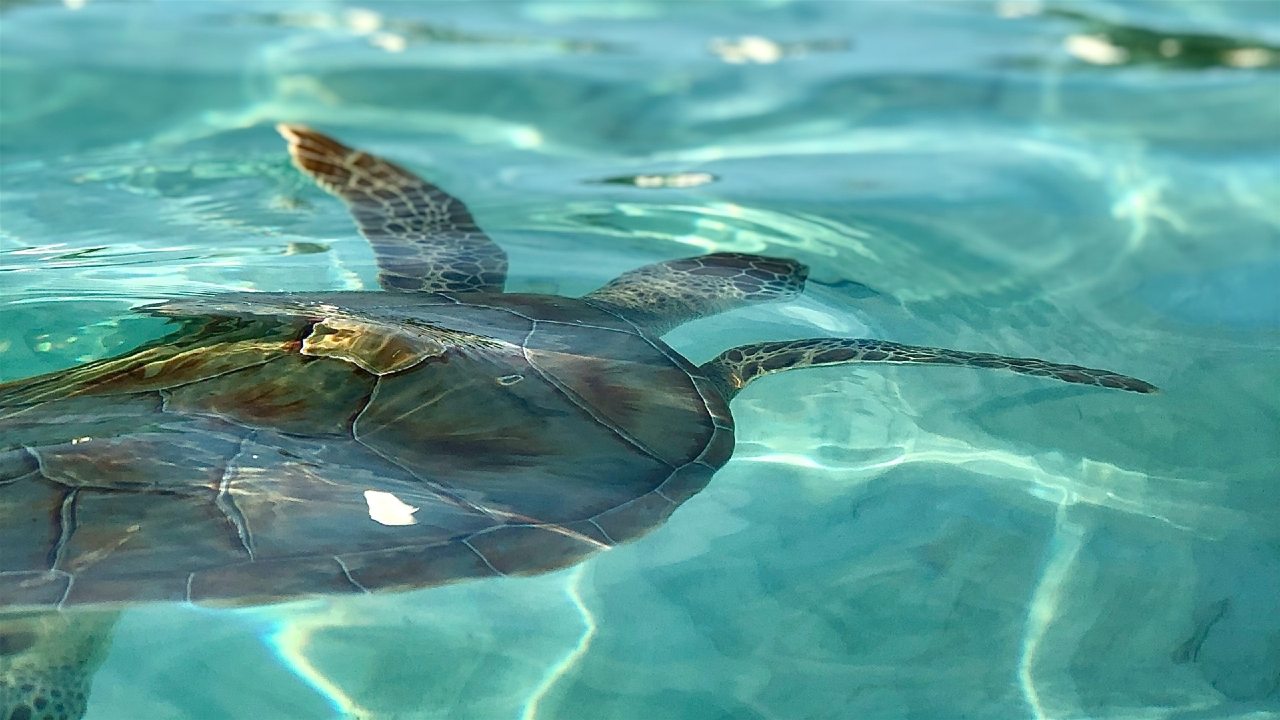 Exuma Cays