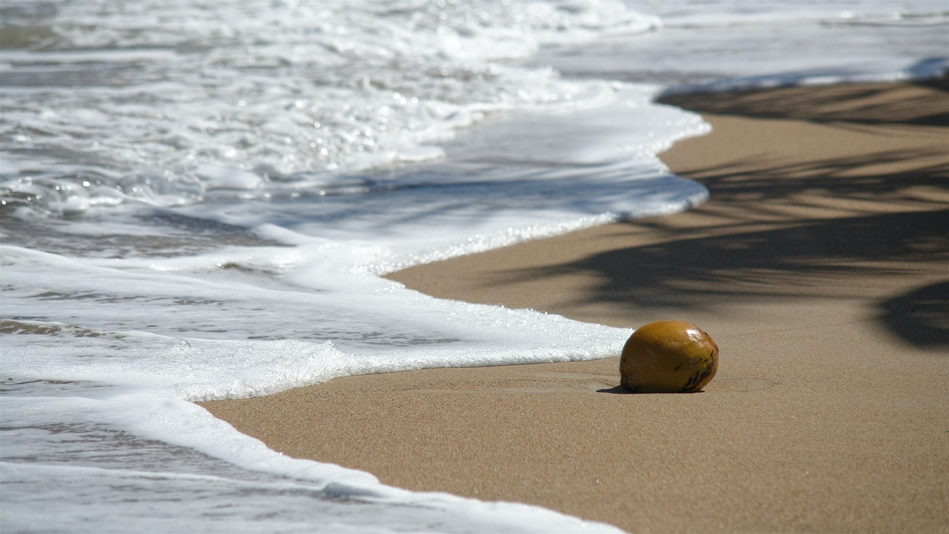 St. Vincent & the Grenadines