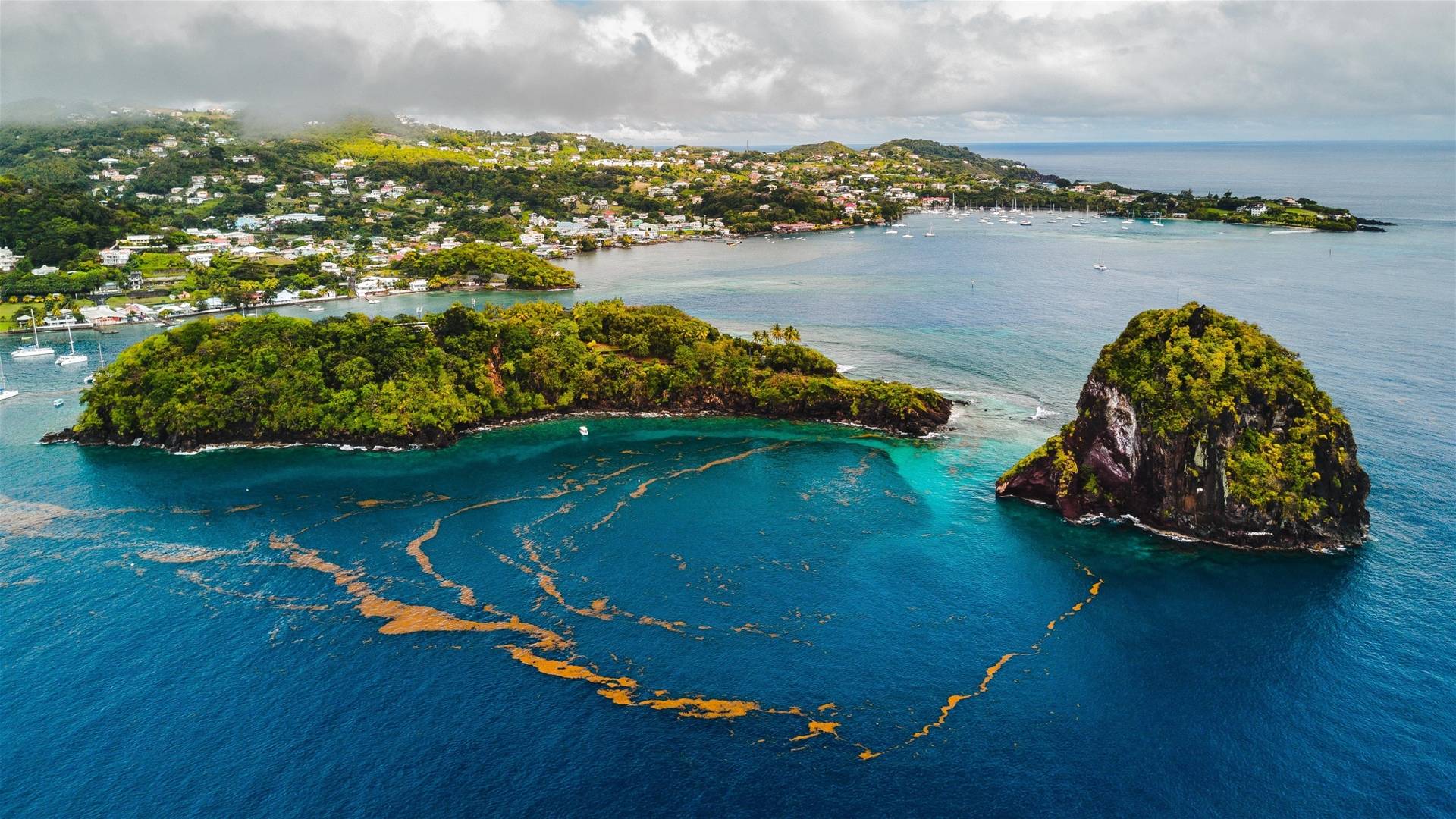 St. Vincent & the Grenadines