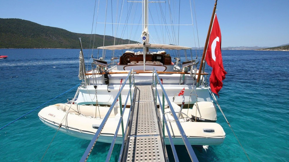 Caner IV