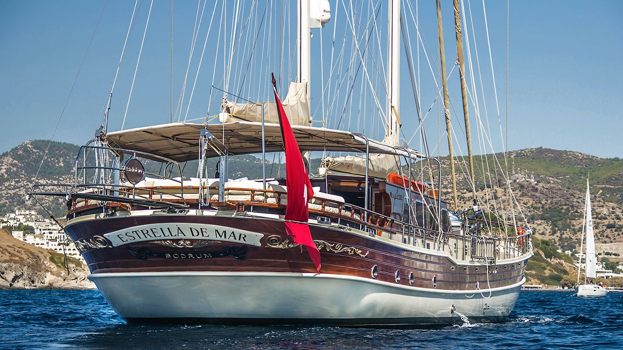 Estrella De Mar