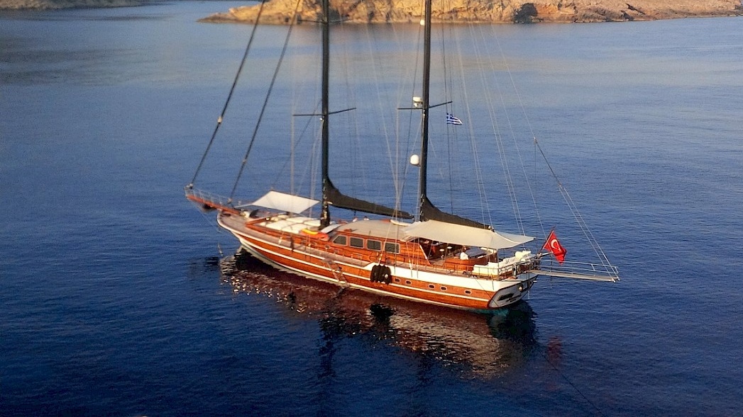 Kaya Guneri Plus