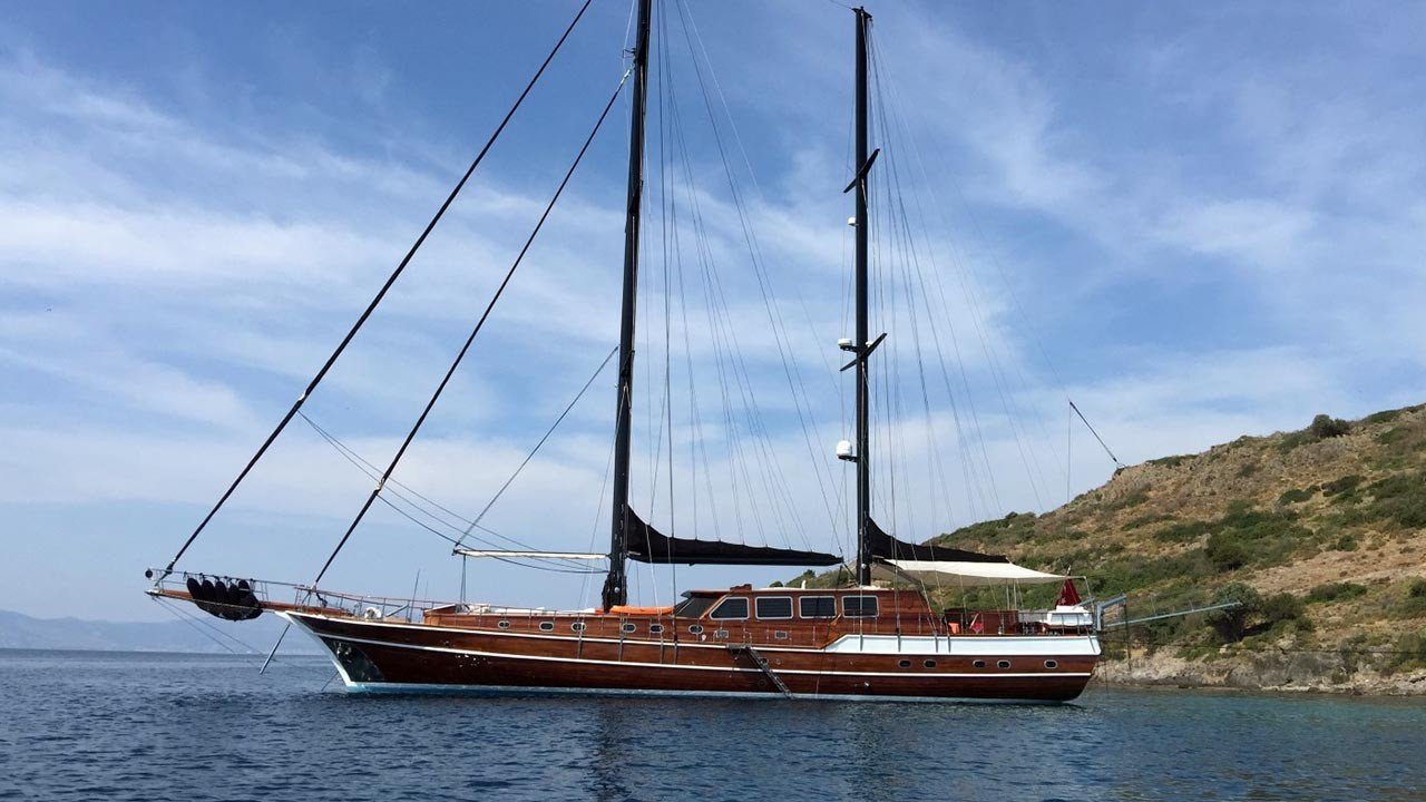 Kaya Guneri Plus